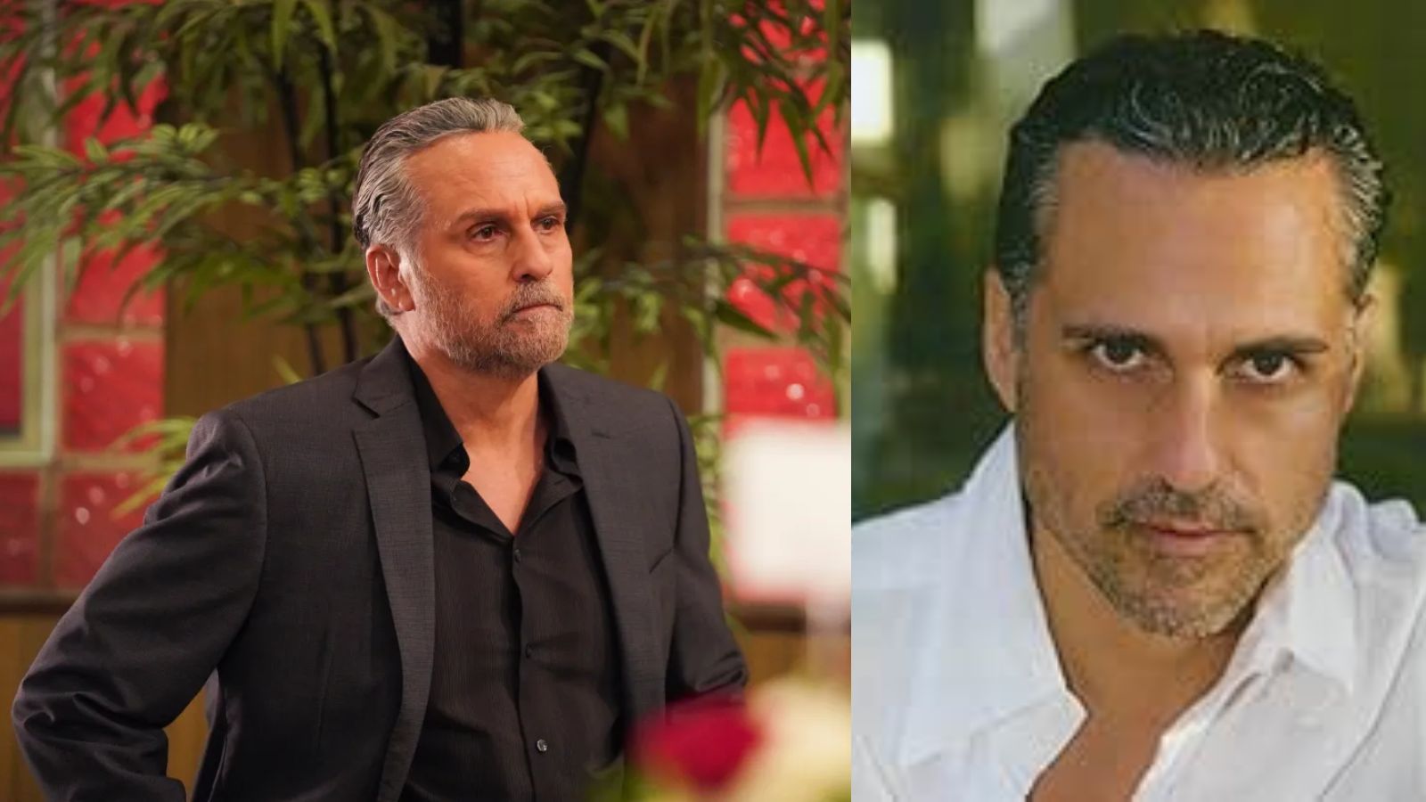 maurice benard net worth