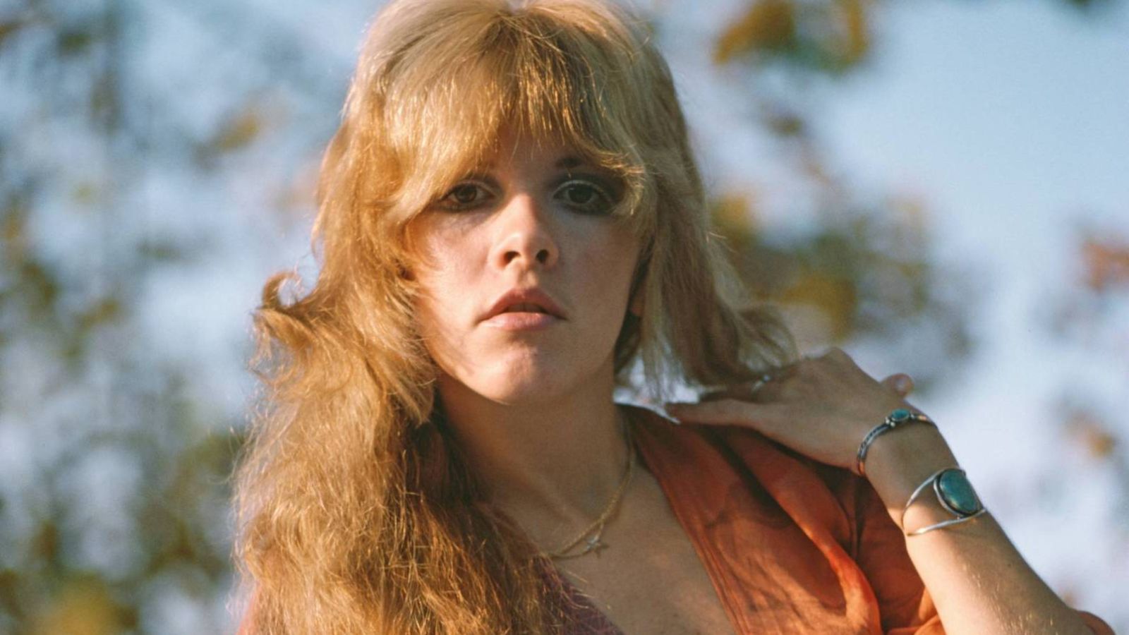stevie nicks young