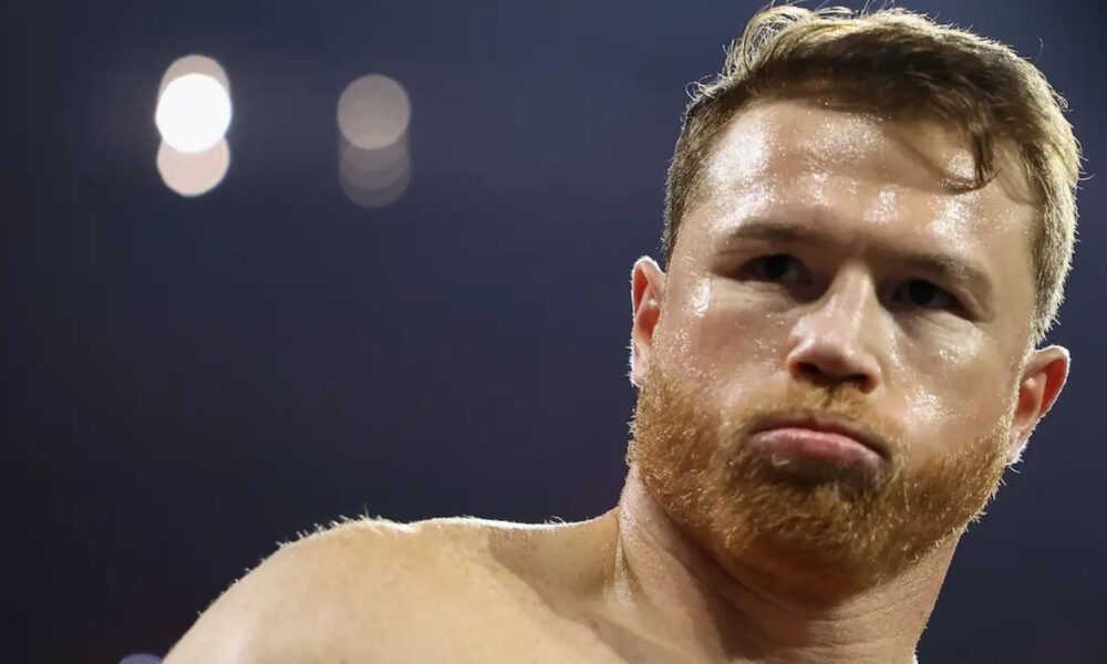 canelo net worth 2025