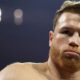 canelo net worth 2025
