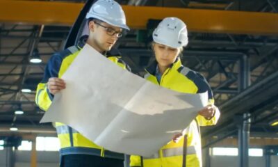 construction expert witness