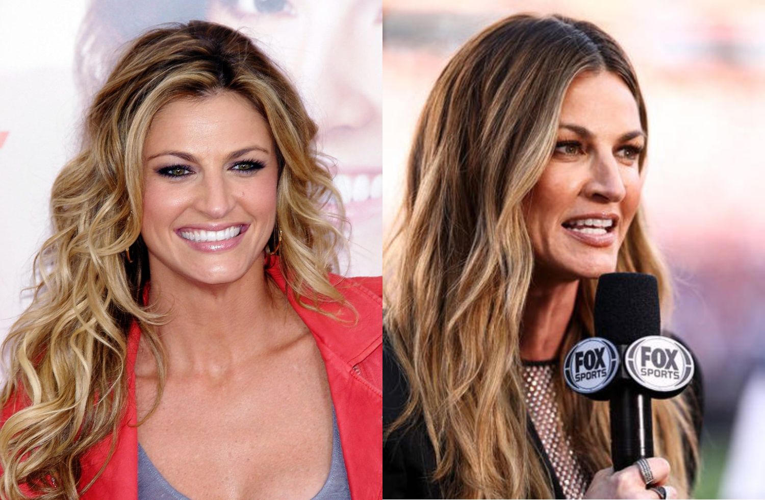 erin andrews net worth