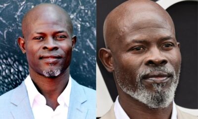 djimon hounsou net worth