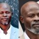 djimon hounsou net worth