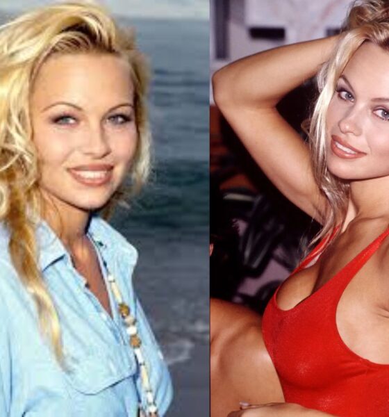 pamela anderson young