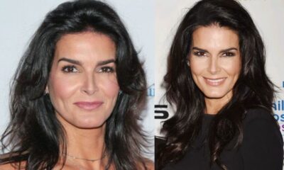 angie harmon net worth