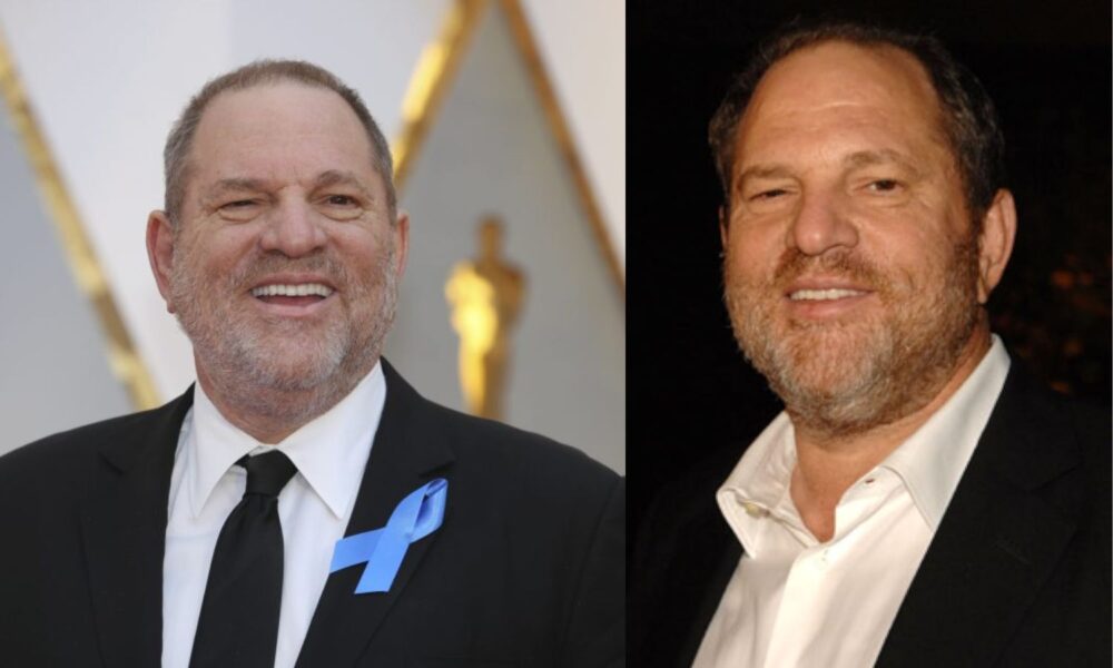 harvey weinstein net worth