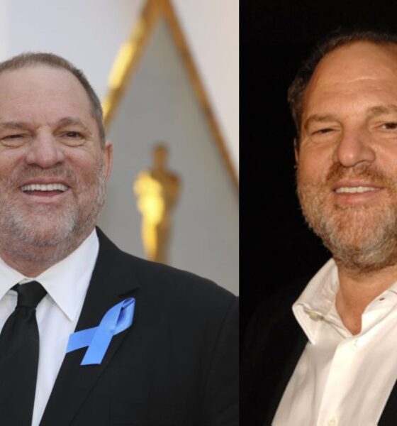 harvey weinstein net worth