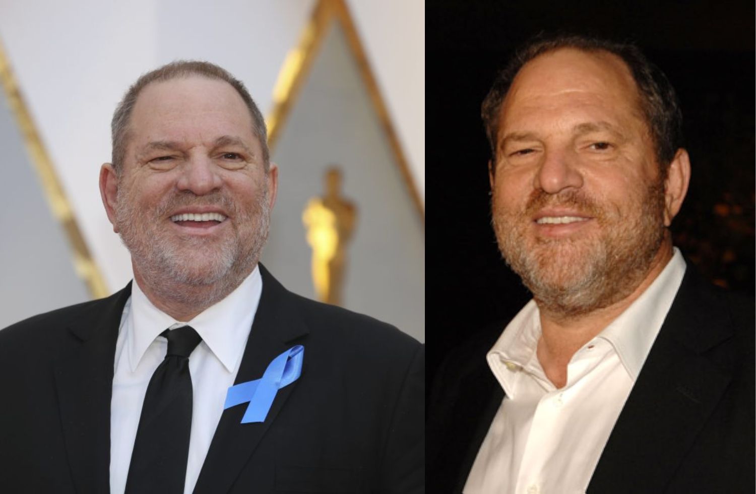 harvey weinstein net worth