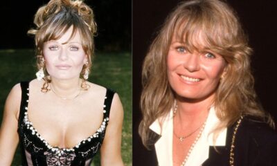 valerie perrine