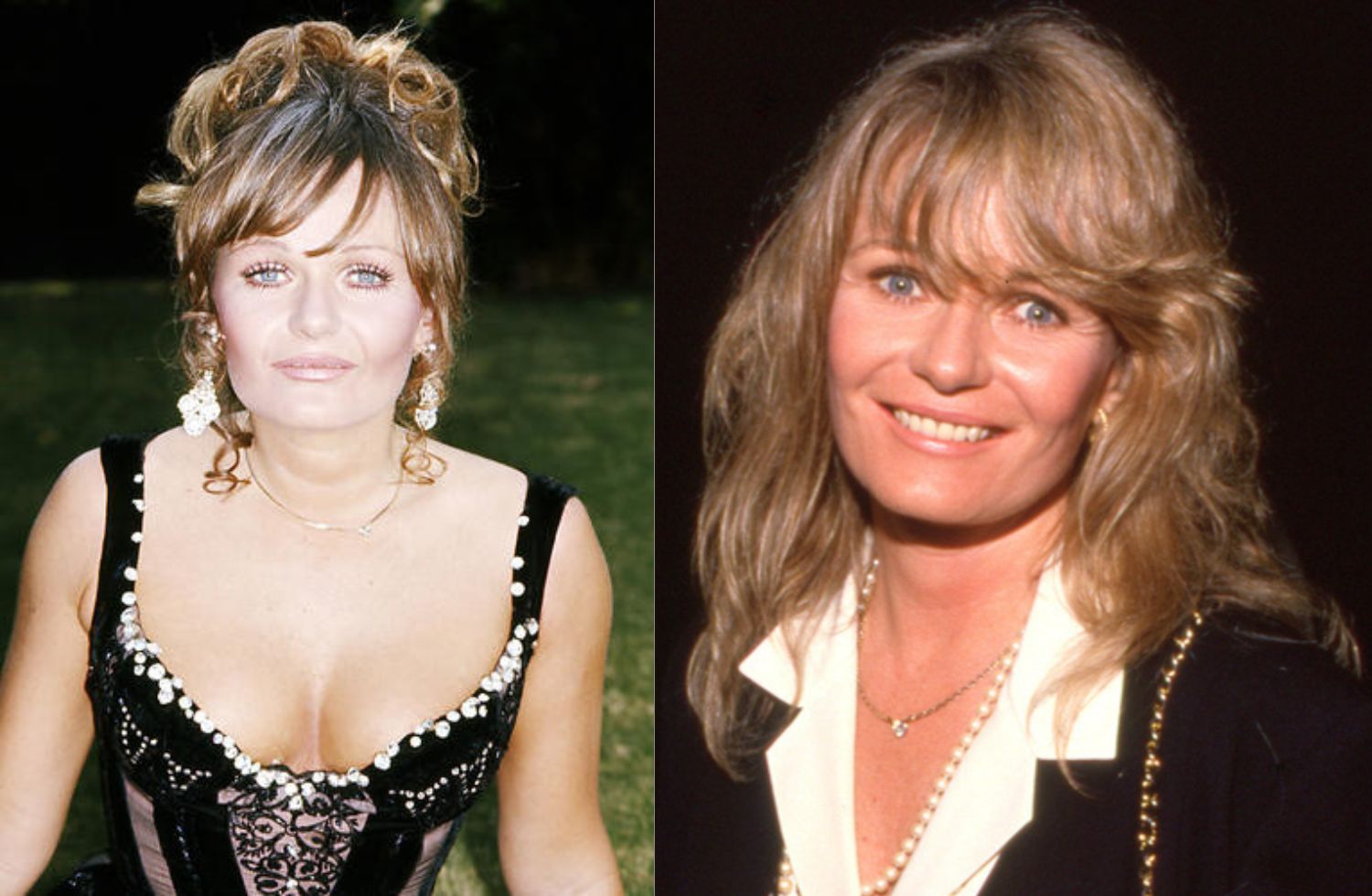 valerie perrine