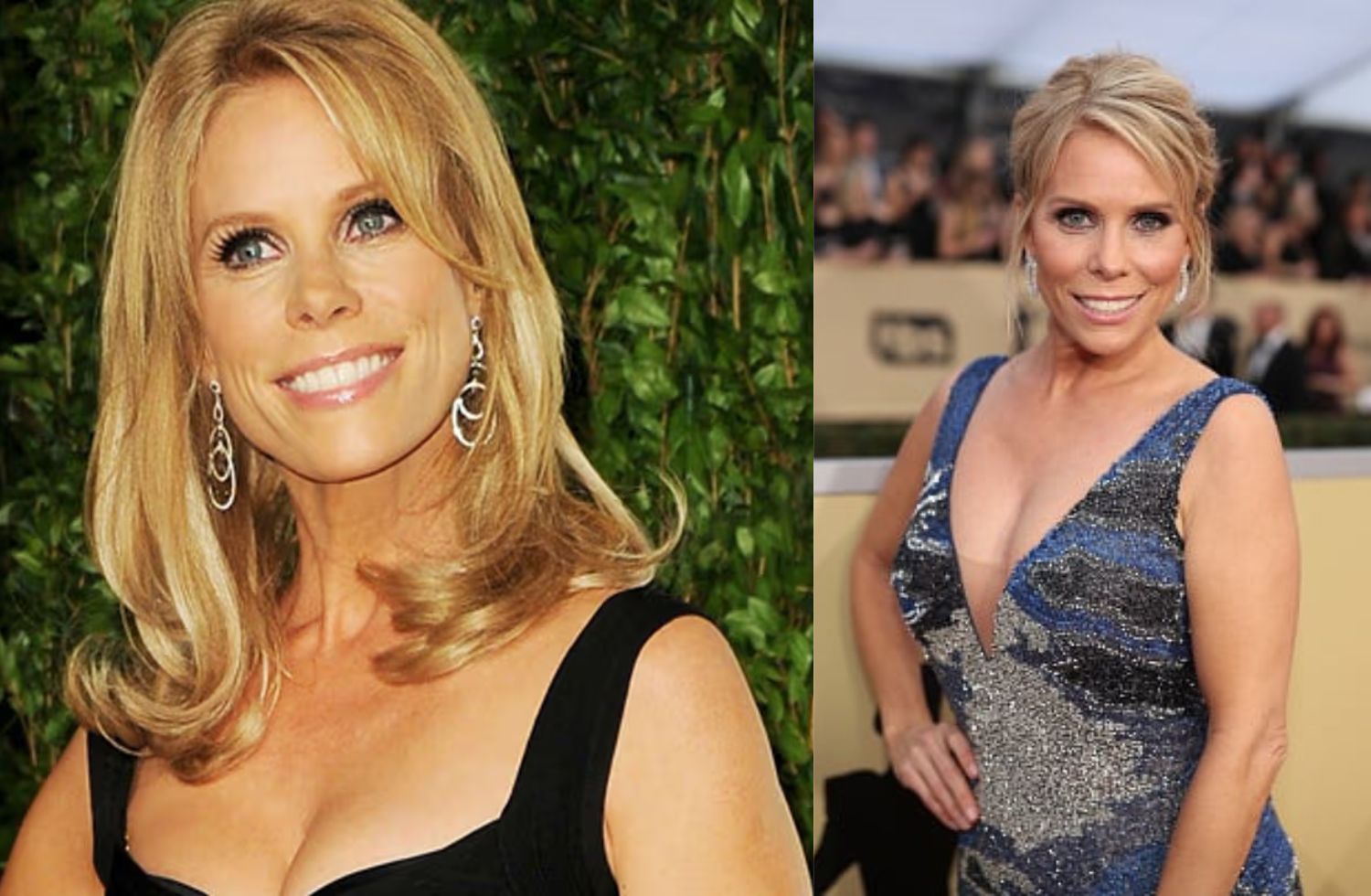 cheryl hines net worth
