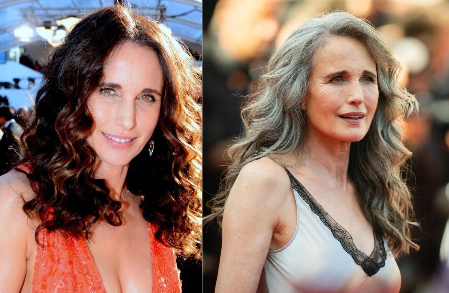 andie macdowell net worth