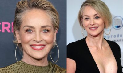 sharon stone net worth