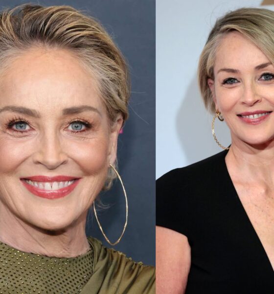 sharon stone net worth