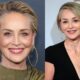 sharon stone net worth