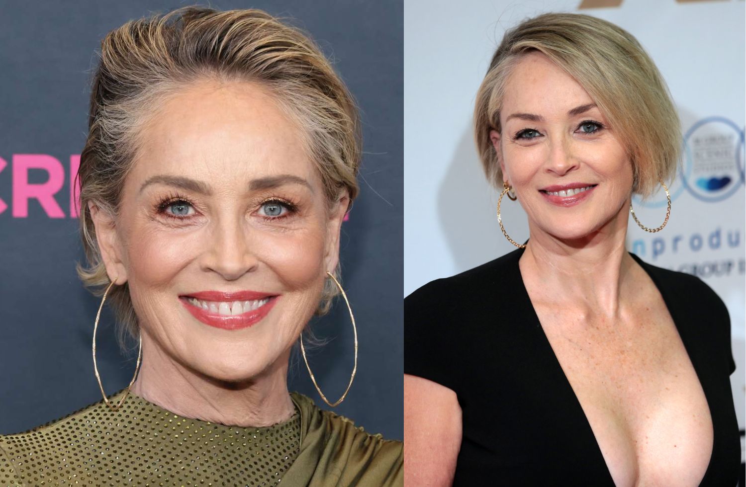 sharon stone net worth