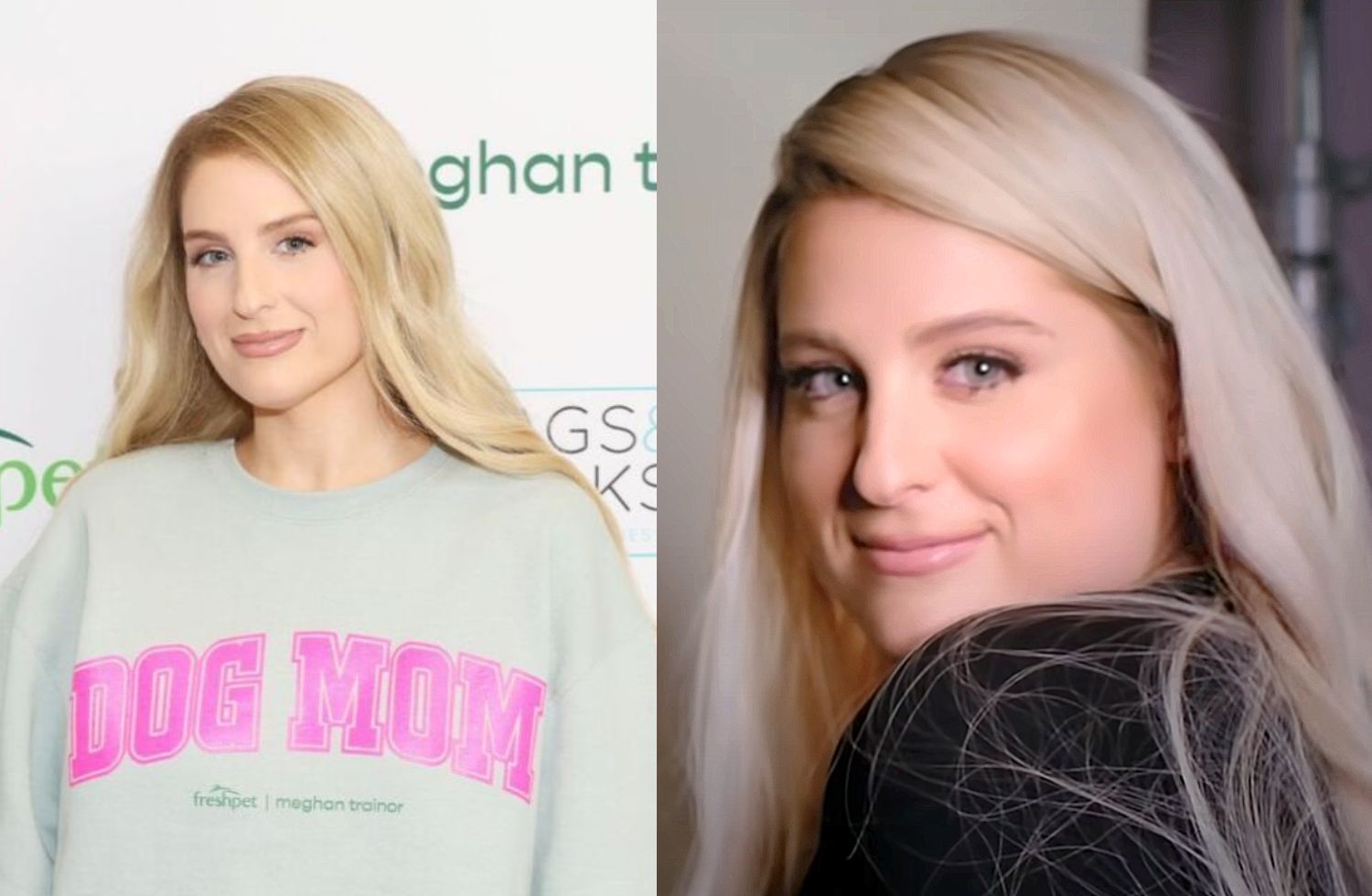 meghan trainor net worth