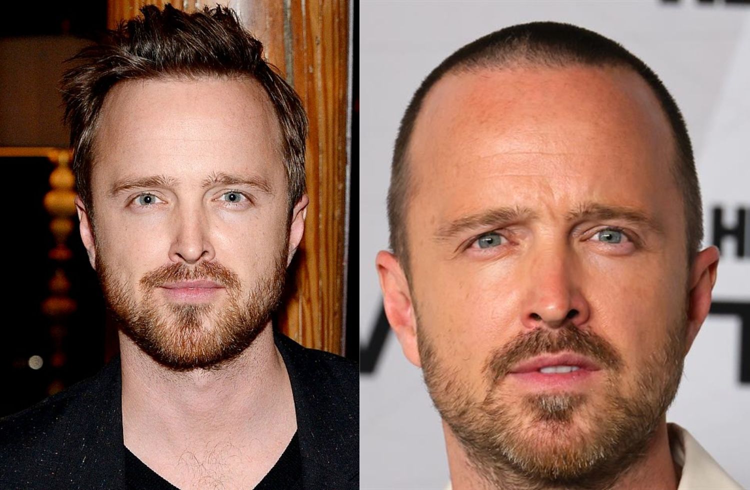aaron paul net worth