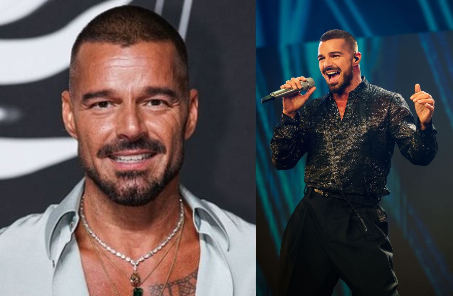 ricky martin net worth