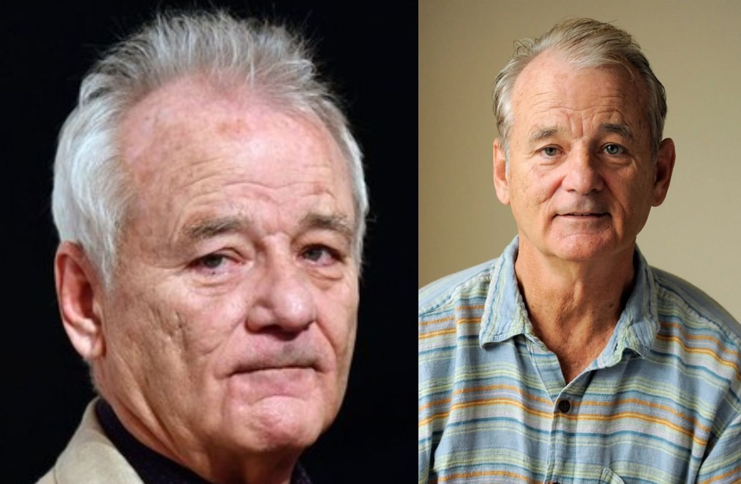 bill murray net worth