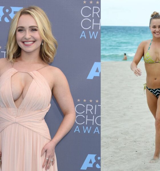 hayden panettiere height