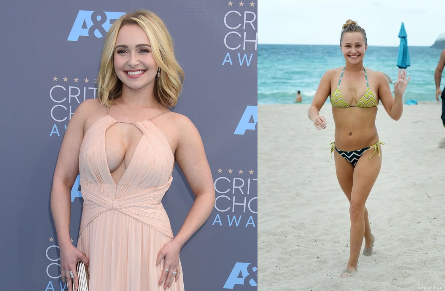 hayden panettiere height