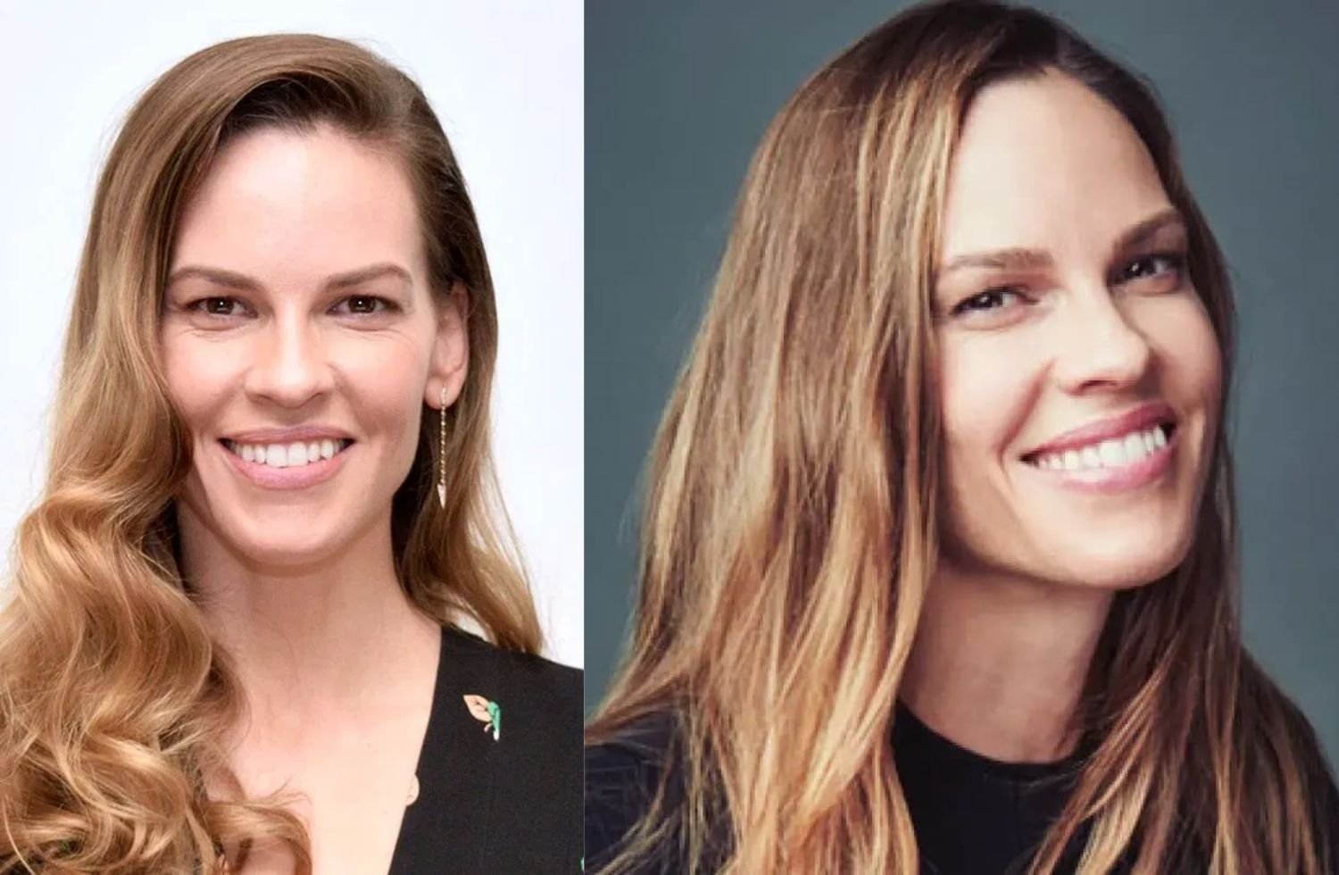 hilary swank net worth