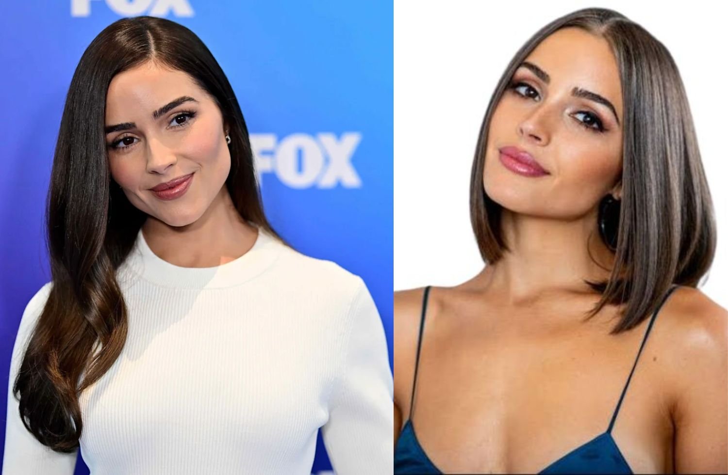 olivia culpo net worth