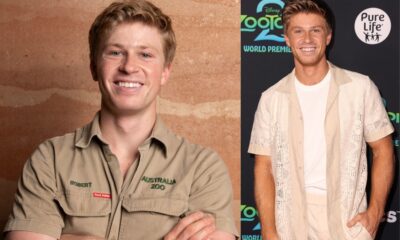 robert irwin net worth
