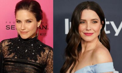 sophia bush net worth