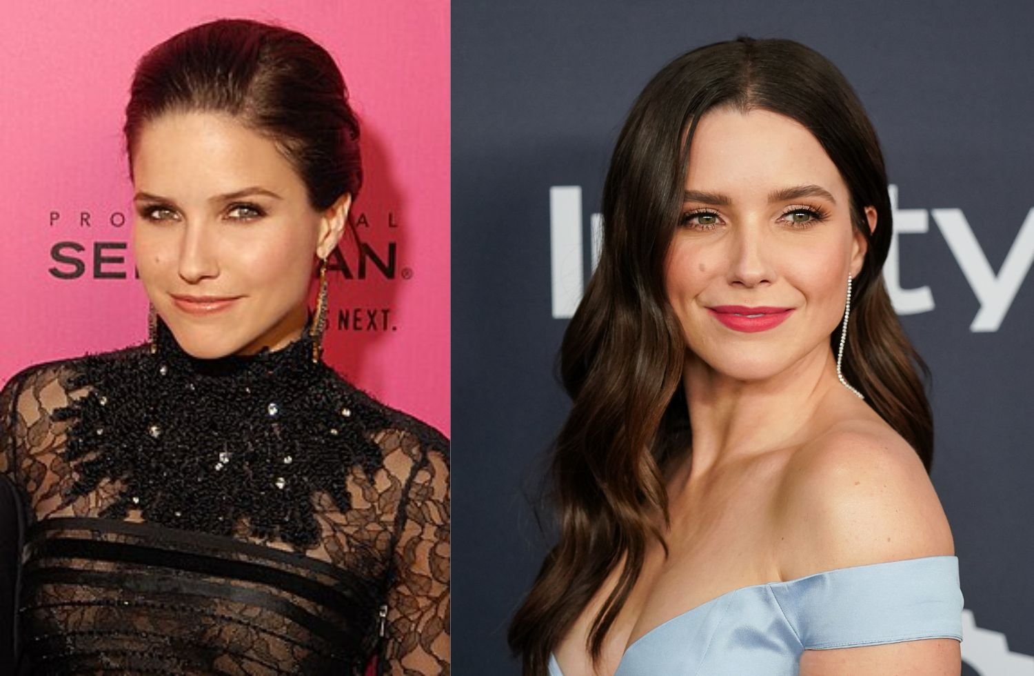 sophia bush net worth