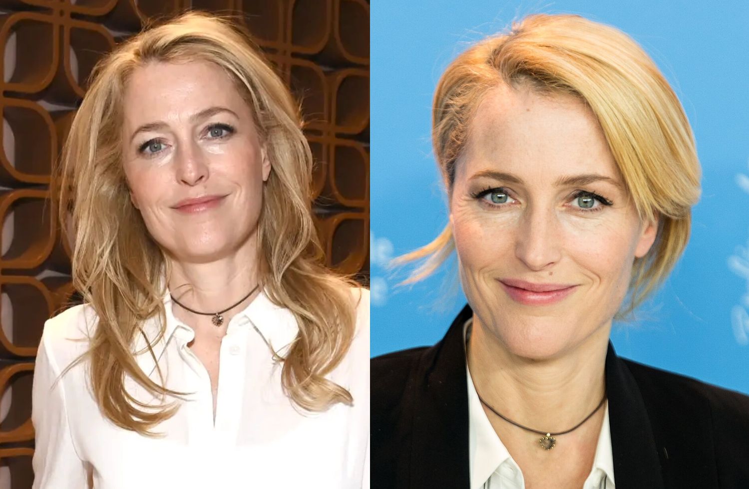 gillian anderson net worth