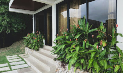 Why Bespoke Glass Doors Are a Stunning Addition to Any Home