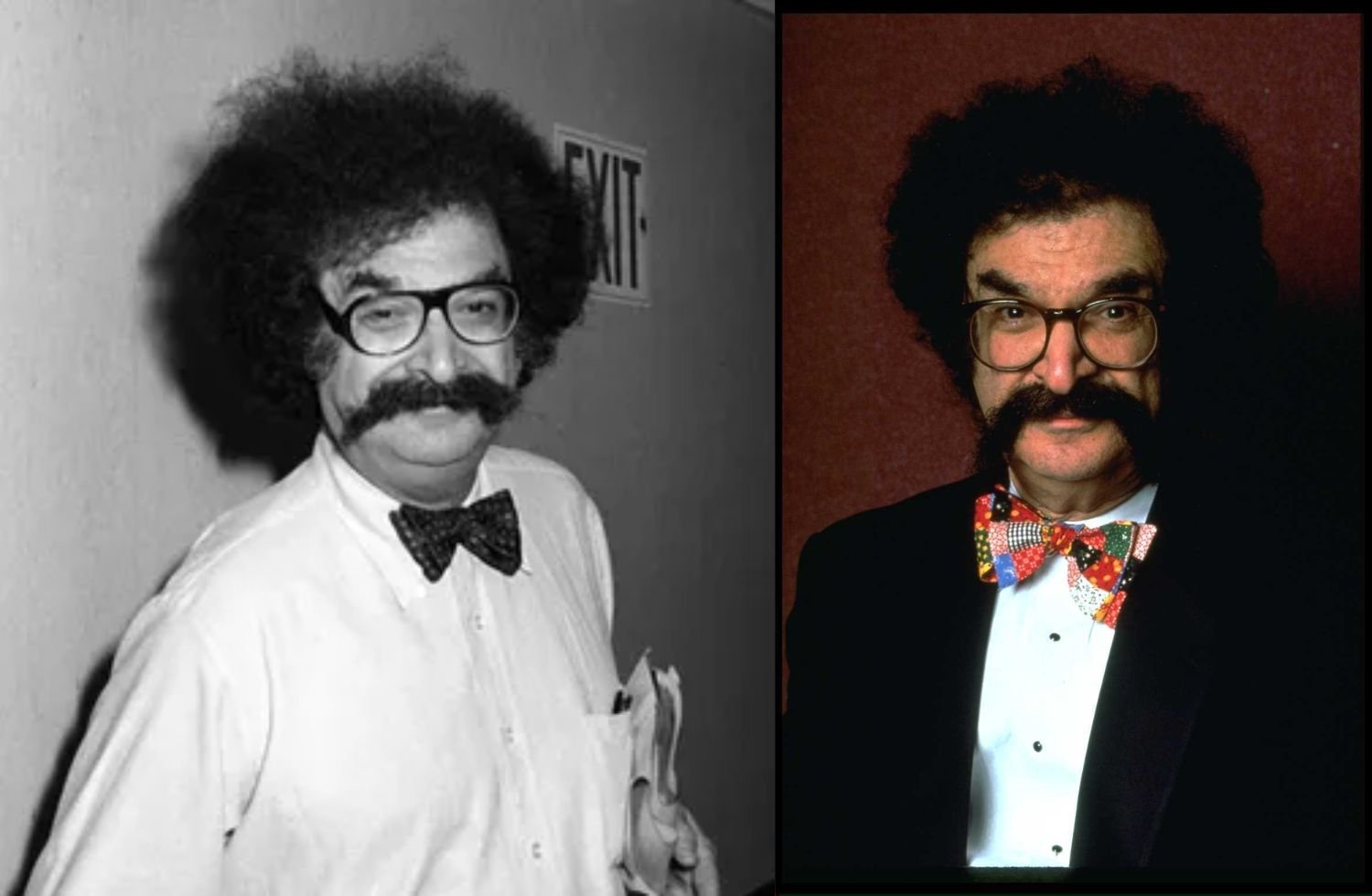 gene shalit net worth