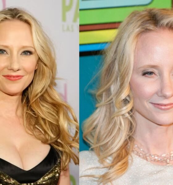 anne heche net worth