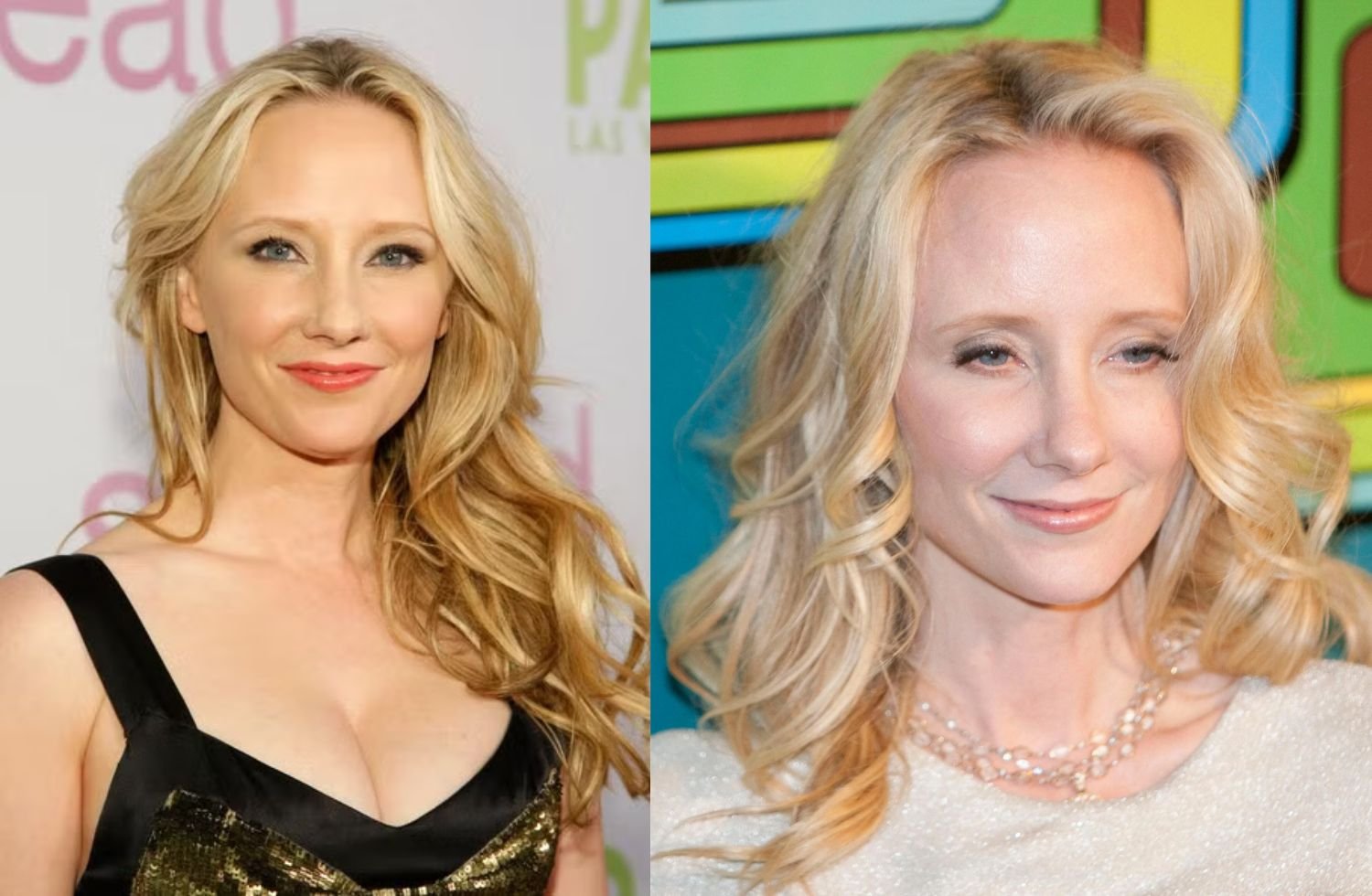anne heche net worth