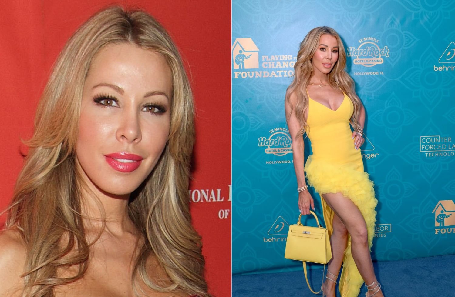 lisa hochstein net worth