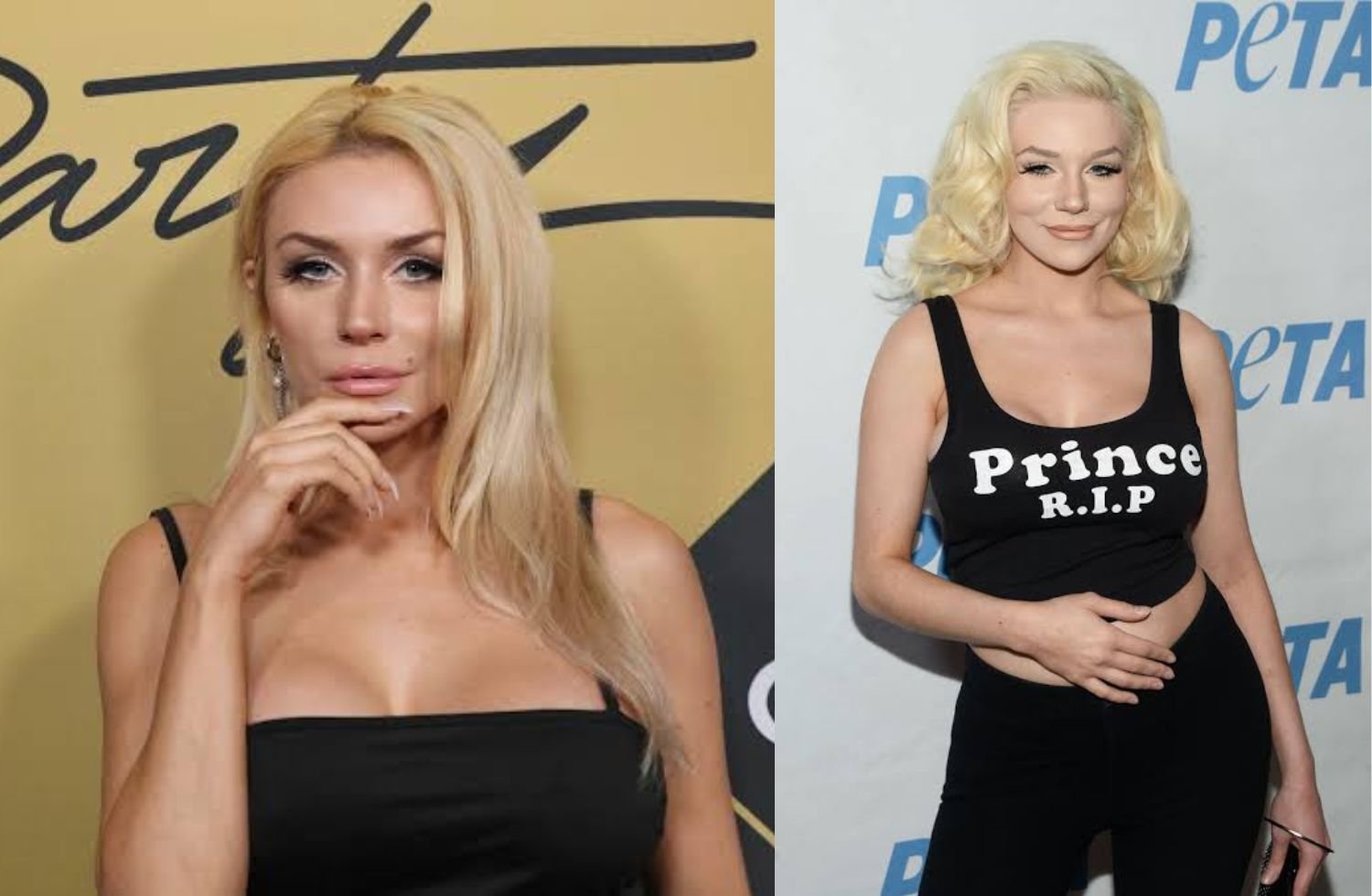 courtney stodden net worth
