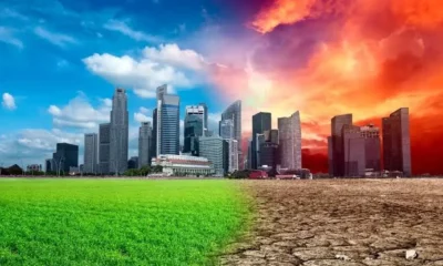 How Rising Temperatures Are Changing the Way Buildings Are Designed