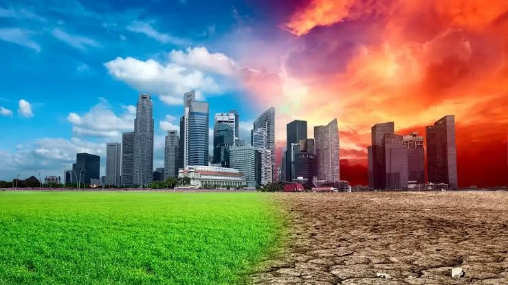 How Rising Temperatures Are Changing the Way Buildings Are Designed