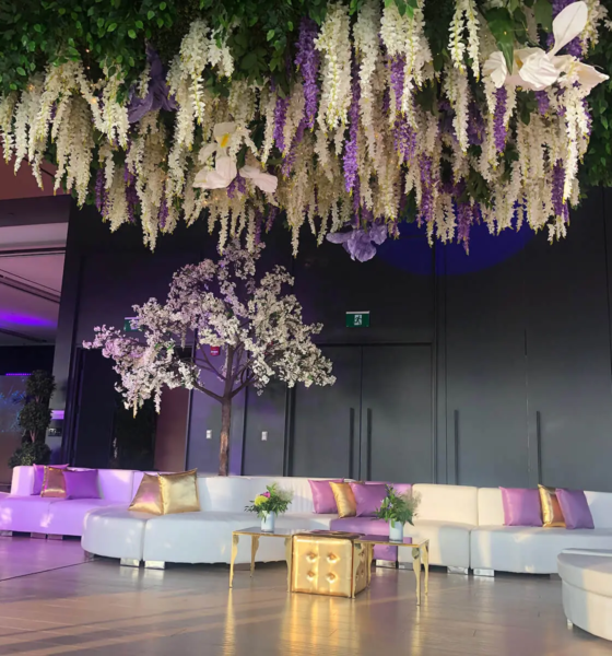 Why the Best Brand Experiences Are Designed Around Emotion, Not Logistics 