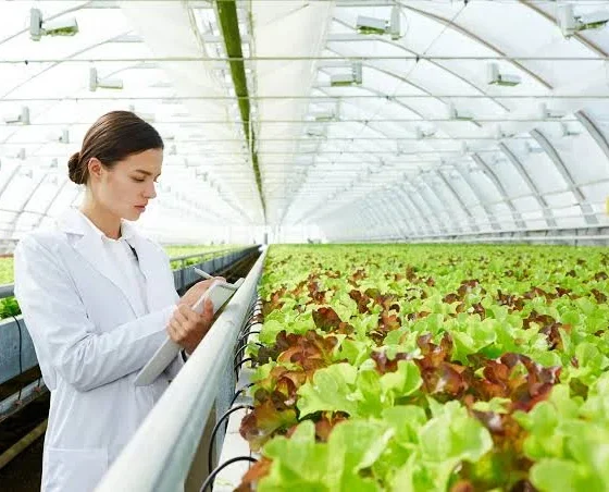 Modern Farmers
