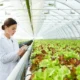 Modern Farmers