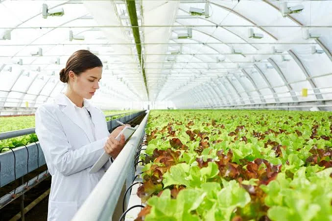 Modern Farmers